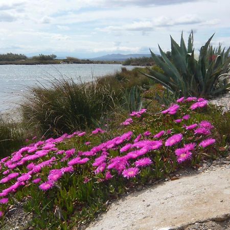 Maisonnette Au Bord De L Etang Leucate Kültér fotó