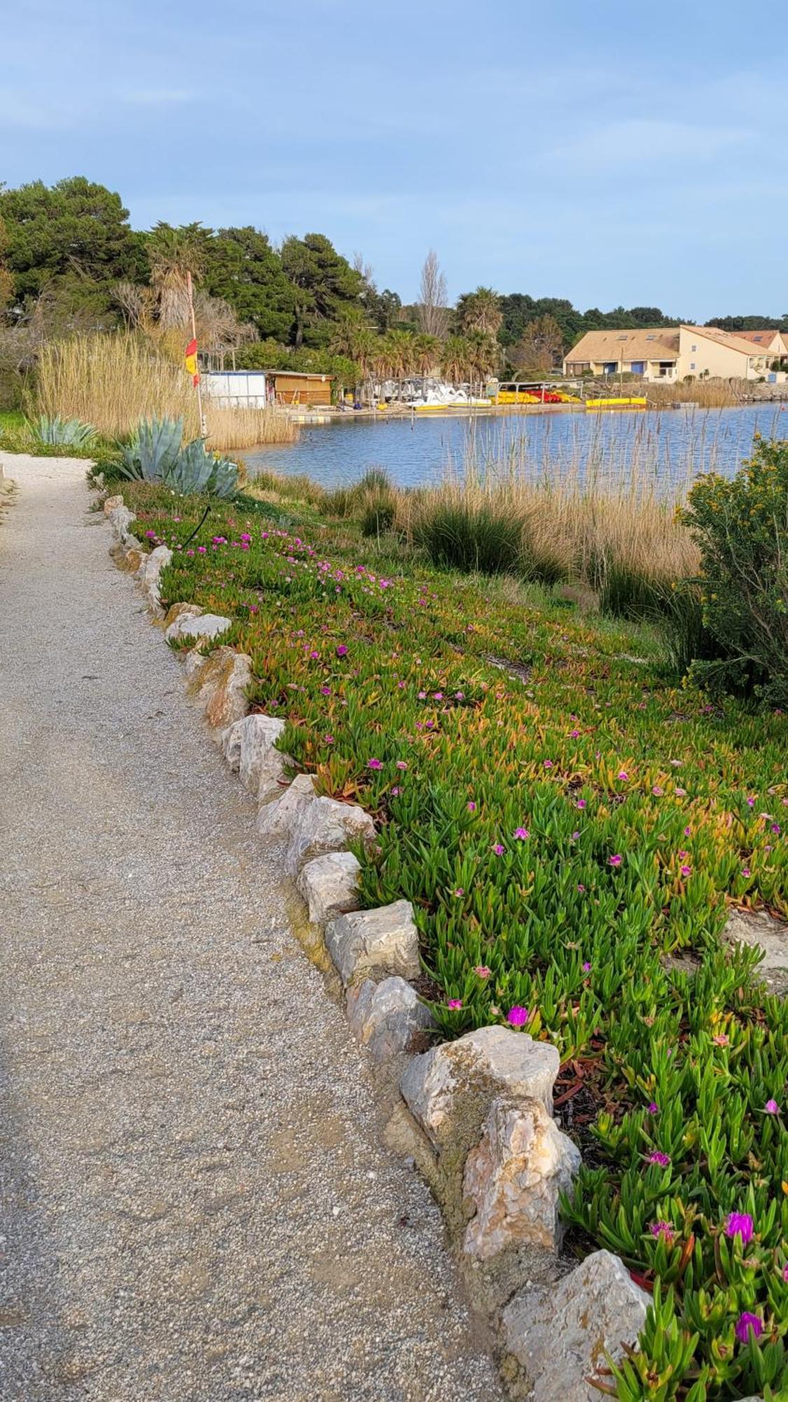 Maisonnette Au Bord De L Etang Leucate Kültér fotó